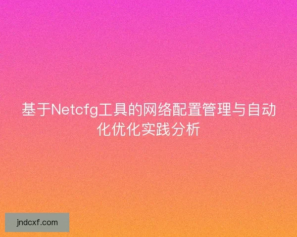 基于Netcfg工具的网络配置管理与自动化优化实践分析