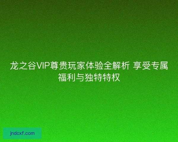 龙之谷VIP尊贵玩家体验全解析 享受专属福利与独特特权